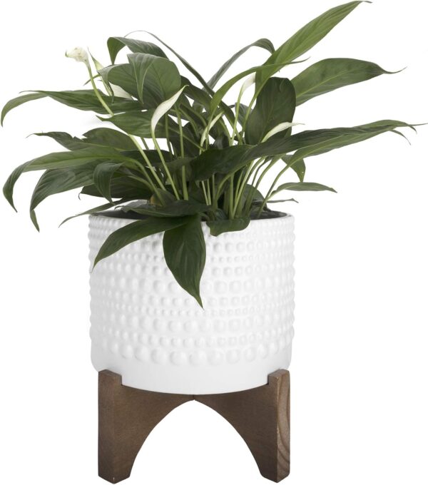 La Jolie Muse Ceramic Planter 8 inch