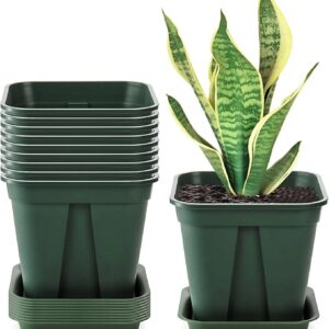 Fasmov 6 inch Plastic Planters (Set of 5)