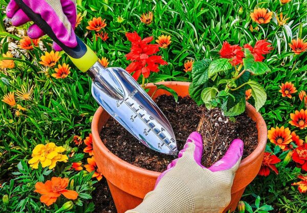 Edward Tools Bend-Proof Garden Trowel